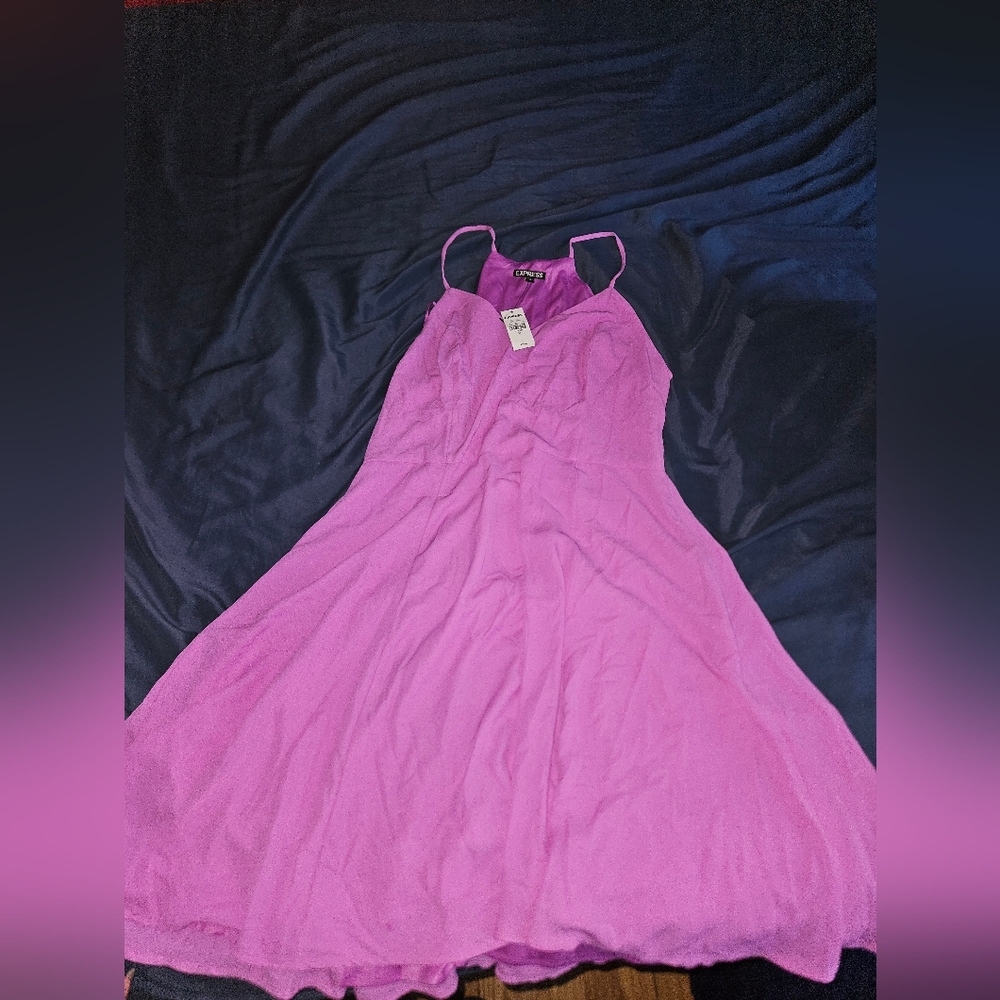 Express Pink Dress Size 12